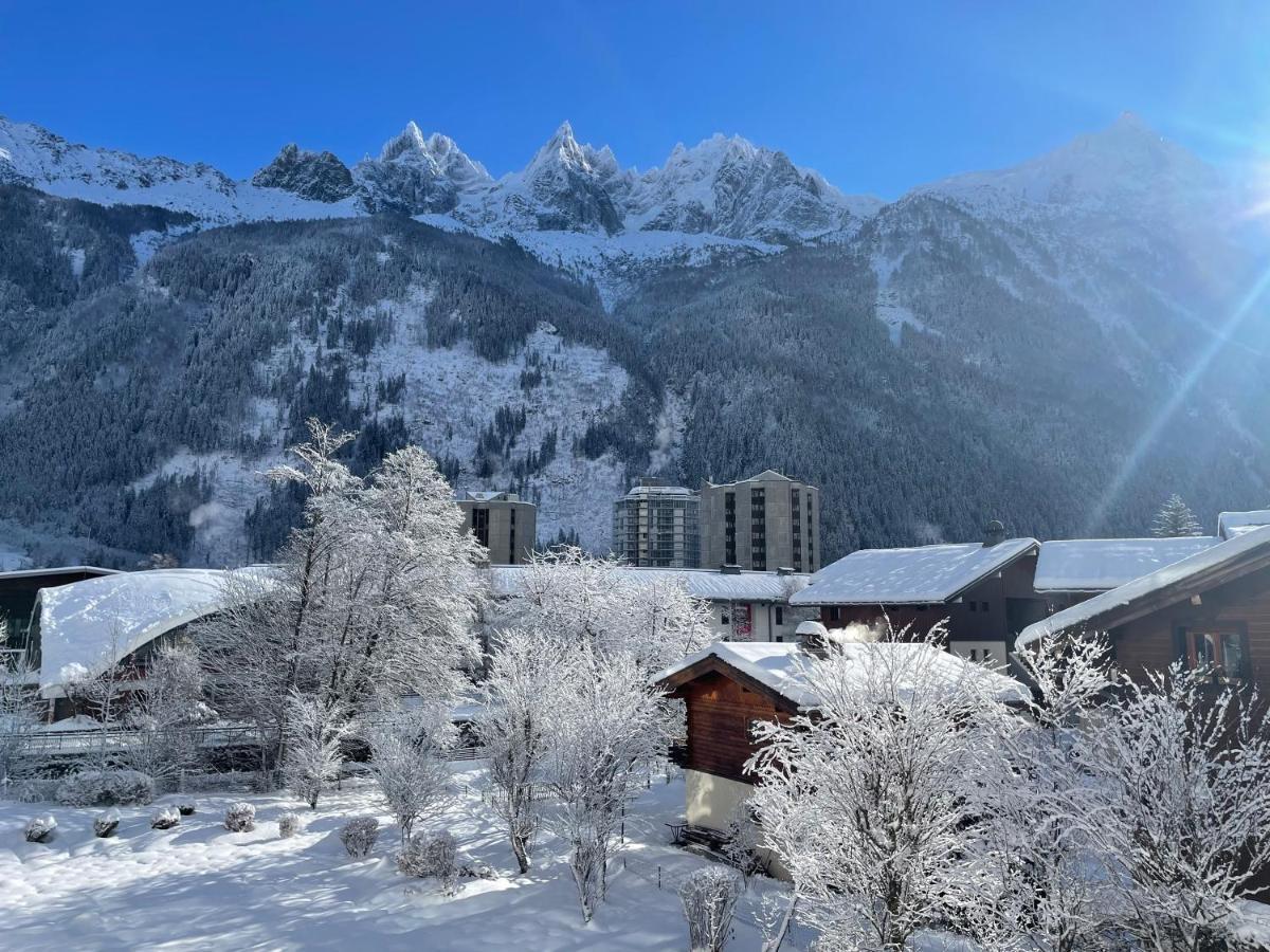 Apartament Z Widokiem Na Mt Blanc Daire Chamonix Dış mekan fotoğraf